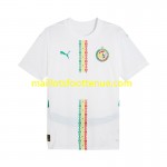 Maillot/Tenue Sénégal Domicile 2025